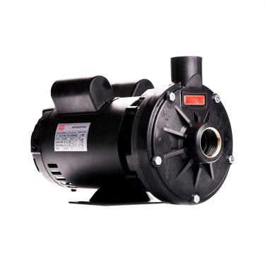 Imagem de Bomba Monoestágio Th-16 P 3,0 Cv Rotor 159mm Monofásico Motor Thebe Ip23 127/220-254