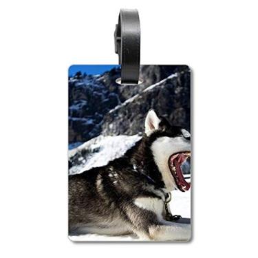 Imagem de Big Mouth Dog Snow Husky Foto Mala Etiqueta Bagagem Cartão de Bagagem Scutcheon Etiqueta