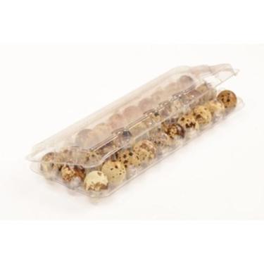 Imagem de Embalagens para ovos de codorna 25 unidades - PETPACK
