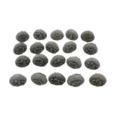 Imagem de Gralara 20 Pedras Decorativas em Resina com Formato de da Sorte para Vasos de Plantas e Aquários