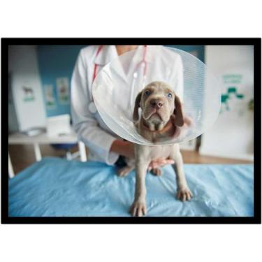 Imagem de Quadro Decorativo Medicina Consultórios Veterinários Pet Shop Com Mold