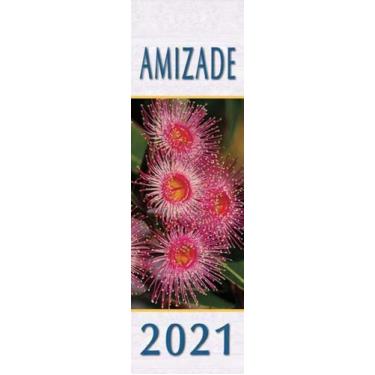 Imagem de Calendário da amizade 2021 - PAULINAS