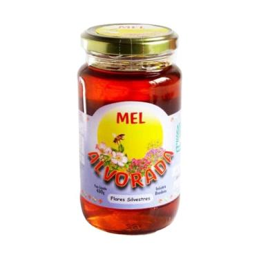 Imagem de Mel Silvestre Alvorada 430g