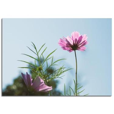 Imagem de Pôster 912 Cosmos Impressão em tela rosa arte de parede de flores para casa 1 painéis decorações não ramificadas 30,5 x 20,3 cm
