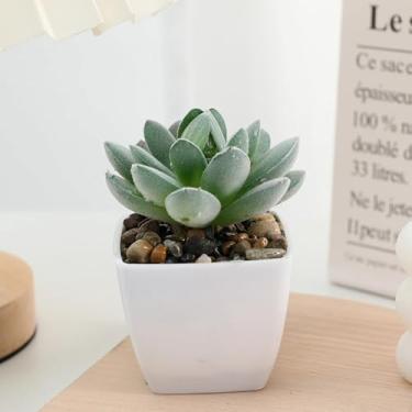 Imagem de Plantas suculentas verdes artificiais mini suculentas falsas em vasos com flores para acessórios de mesa de escritório, decoração de carro