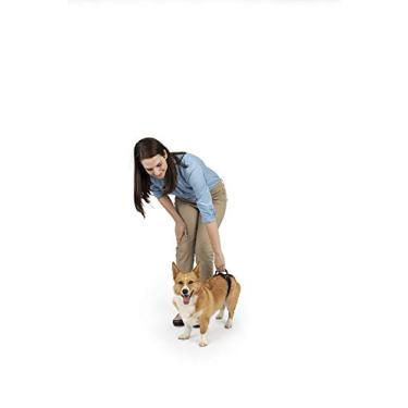 Imagem de PetSafe Peitoral De Suporte Traseiro Carelift – Auxílio De Elevação Com Alça – Ótimo Para Animais De Estimação E Cães Mais Velhos – Material Confortável Respirável – Fácil De Ajustar – Pequeno