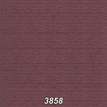 Imagem de Linha DMC Mouliné Spécial 8m - 8, 3858