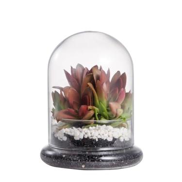 Imagem de NCYP Cloche pequeno de vidro decorativo transparente para terrário com orifício de ar - 12 x 12 x 16 cm cúpula de vidro com base para suculentas em miniatura - armazenamento de exibição (plantas não