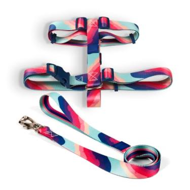 Imagem de Coleira Peitoral H e Guia para Cachorro Fita Premium 100% Poliéster Fecho Resistente(Alpaca,P)