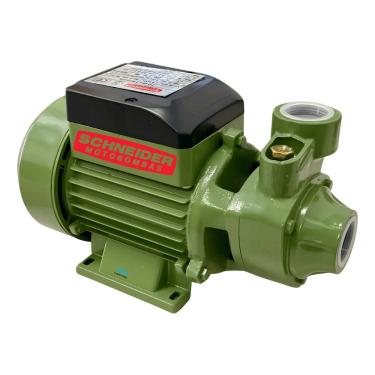 Imagem de Motobomba Schneider Periférica Pg 1cv P/ Altura Máxima 48 Metros 127V