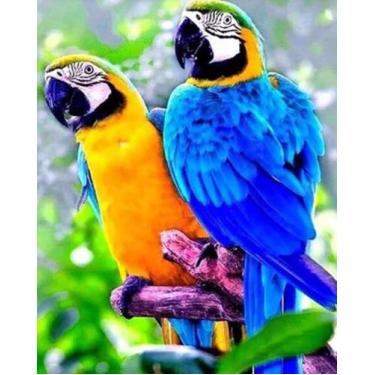 Imagem de Como comprar talagarça Kit completo tela pintada tapeçaria  lã agulha 