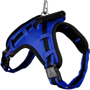 Imagem de Coleira com Regulagem e Guia Peitoral Cachorro Grande Guia Doberman Pitbull Anti Puxão coleira cachorro (AZUL,M)