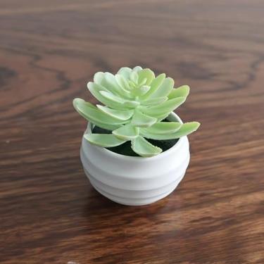 Imagem de Mini plantas suculentas artificiais bonsai planta suculenta artificial vaso de mesa ornamentos de vegetação decoração de casa 5,5 x 8,5 cm (verde branco)