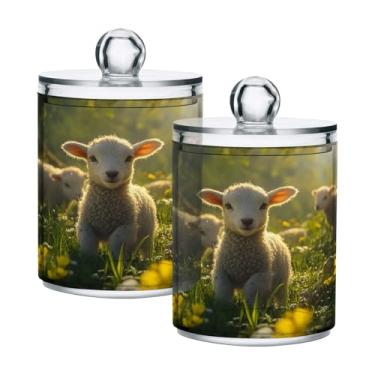 Imagem de Qilmy Qtip Suporte de boticário de 400 ml, frasco de plástico transparente com tampa, dispensador de recipiente de banheiro para bola de algodão, cotonete, fio dental, pacote com 2