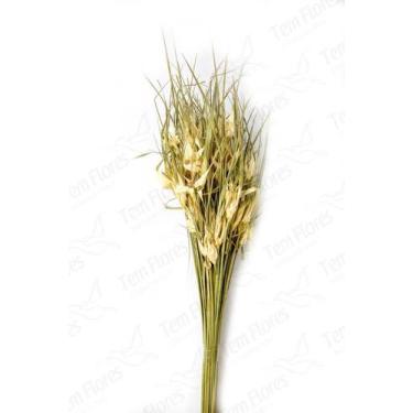 Imagem de Capim Estrela Flor Desidratada Buque Flores Secas - Tem Flores