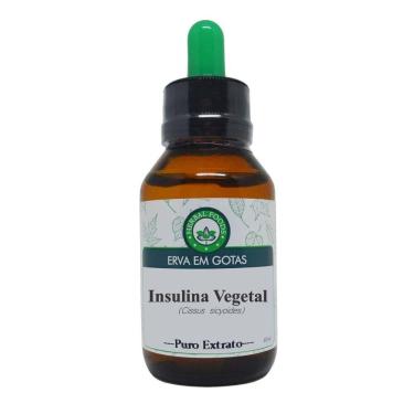 Imagem de Insulina Vegetal - Extrato 60ml (tintura Mãe)