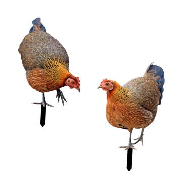 Imagem de WeiLaiKeQi Estaca de galo de jardim, figuras de galinha, decoração de Páscoa, à prova de intempéries, realista, escultura de galinha, estátua de animal, estacas para quintal, pátio ao ar livre, AB