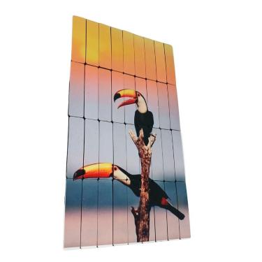 Imagem de Super Quebra-Cabeça Cognitivo Mini Palitos Tucanos Do Brasil