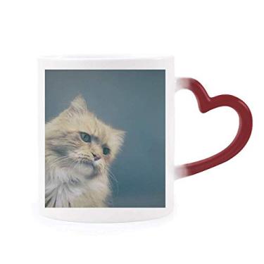 Imagem de Caneca com foto de gato azul animal, foto sensível ao calor, copo de grés que muda de cor vermelha
