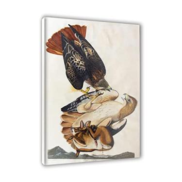 Imagem de John James Audubon Famous Paintings Impressão Giclée esticada em tela 'Red-Tailed Hawk.'Reprodução de pôsteres e impressões de animais - Imagem de arte de parede em tela emoldurada de madeira 50 x 75