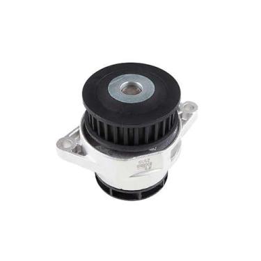 Imagem de Bomba Dagua Com Polia 452007 Indisa