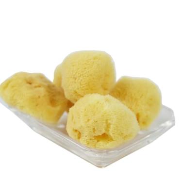 Imagem de EUKVYQPX Montessori esponja de limpeza facial natural, vida diária ensinando AIDS, produtos de limpeza e acessórios, 3pcs