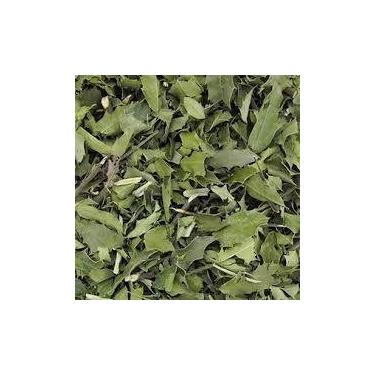 Imagem de Chá de Espinheira-Santa (Maytenus ilicifolia) 100g - Produto Natural -
