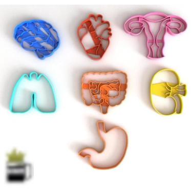 Imagem de Kit 7 Cortador Órgãos do Corpo Medindo 6CM Cada - Embody 3d