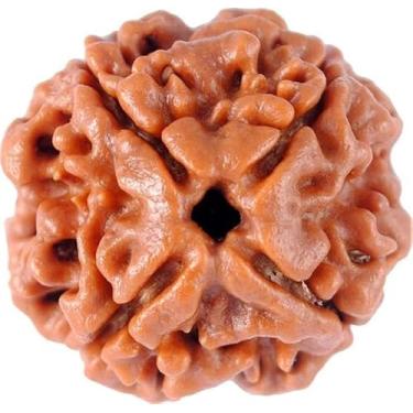 Imagem de EDMIRIA Conta original 4 Mukhi Rudraksha certificada natural Nepali Quatro Faces Rudraksha para Pooja, Meditação