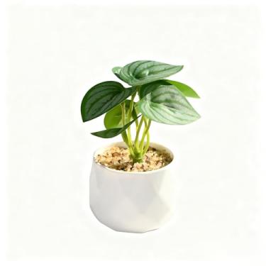 Imagem de Flor falsa produto transfronteiriço simulação planta verde mini bonsai pequeno decoração de casa flor artificial ornamento interno simulação planta em vaso (plantas artificiais em vaso D)