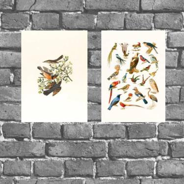 Imagem de Kit 2 Placas Decorativas Pássaros 18x27cm