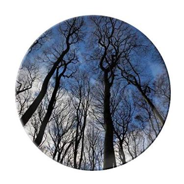 Imagem de Prato decorativo de porcelana Salver Salver de porcelana azul verde florestal ciência natureza