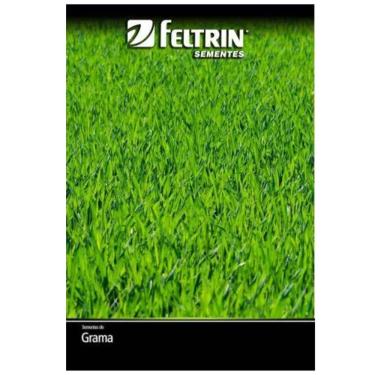 Imagem de Sementes de Grama Jesuíta São Carlos para Jardim FELTRIN