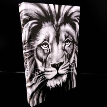 Imagem de Bíblia sagrada novidade facil leitura premium leão pb sk