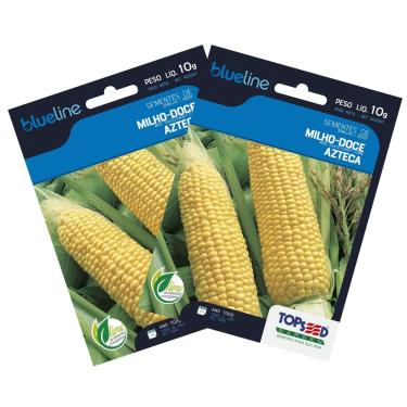 Imagem de TOPSEED, 2X Sementes de Milho Doce Azteca Blueline TOPSEED