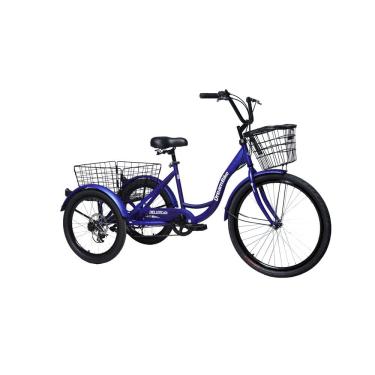 Imagem de Triciclo Deluxe com marcha Azul - Dream Bike 