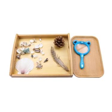 Imagem de ZQsmgs Brinquedos Montessori de Lupa, Jogo Infantil de Pena e Concha, Auxílios Didáticos Sensoriais