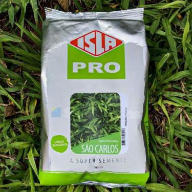 Imagem de Sementes Grama São Carlos Folha Larga Isla 500g Kit 4 un - Isla Sement