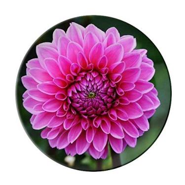 Imagem de Prato de porcelana decorativa com folhas verdes lindas flores grandes rosa salver louça de jantar