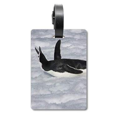 Imagem de Água, preta, pinguim da Antártica, bolsa, etiqueta, etiqueta para bagagem, cartão de armazenamento, etiqueta