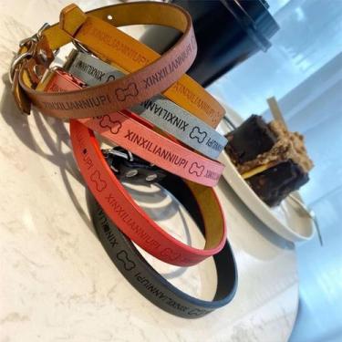 Imagem de Coleira Para Gato E Cachorro Porte Pequeno Ajustável Kit 3 Unidades - 