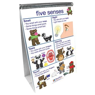 Imagem de NewPath Learning All About Me Curriculum Mastery Flip Chart Set, Early Childhood