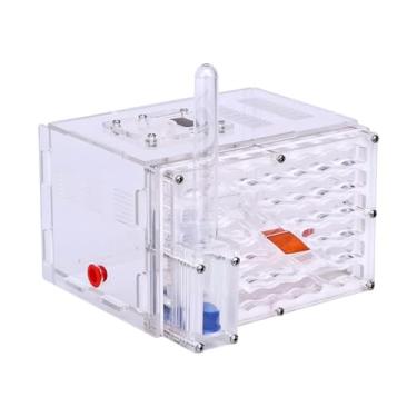 Imagem de IEUDNS Caixa de reprodução de de, brinquedos engraçados, educacional, transparente, faça você mesmo, caixa de exibição de habitat para