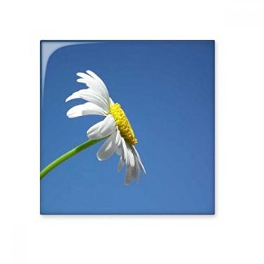 Imagem de Azulejo de cerâmica branco lindo girassol azul céu brilhante decalque pedra adornada tijolo vitrificado