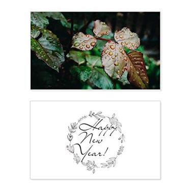 Imagem de Dewdrop Leaf Plant Nature Picture New Year Festival Greeting Card Bless Message Gift