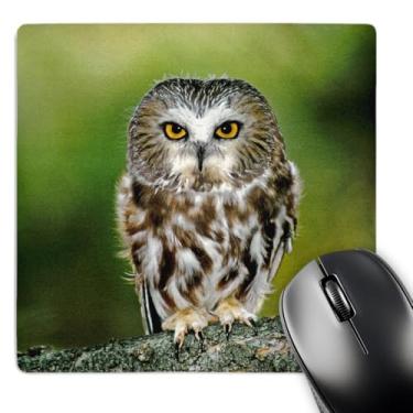 Imagem de 3dRose Mouse pad LLC 20,3 x 20,3 x 0,63 cm, galeria Jaynes Coruja Northern Saw Whet (mp_88821_1)