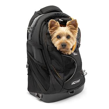 Imagem de Kurgo Mochila G-Train para transporte de cães – bolsa de viagem confortável para animais de estimação de até 11 kg – parte inferior à prova d'água – pacote com vários compartimentos – equipamento de