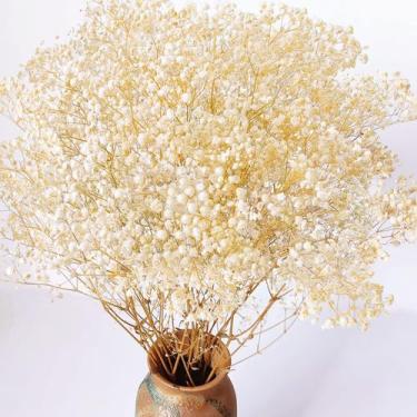 Imagem de Flores secas para bebês Glicrili 4000+ Bulk Ivory White