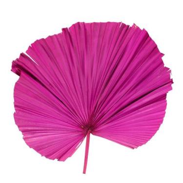 Imagem de Folha de Latania Pink Desidratada - Pense Flores