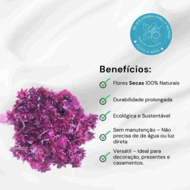 Imagem de Cebolão Rosa Desidratado - Pense Flores